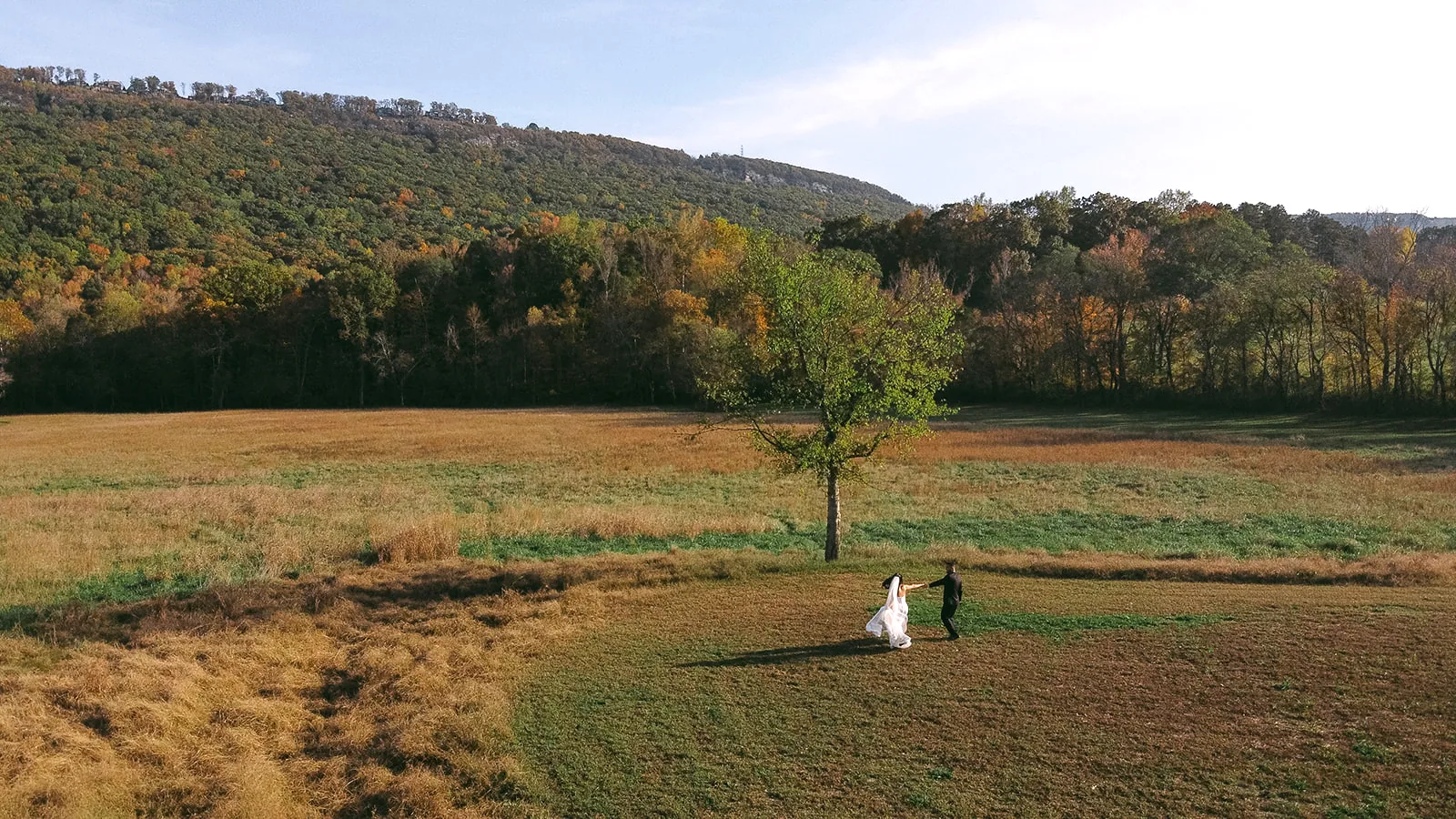 The estate from above, two people alone in the meadow