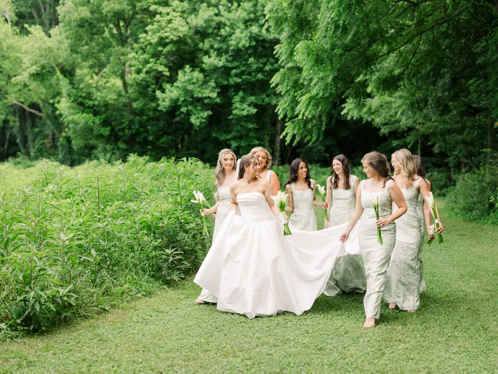 The wedding party walking down through the trees