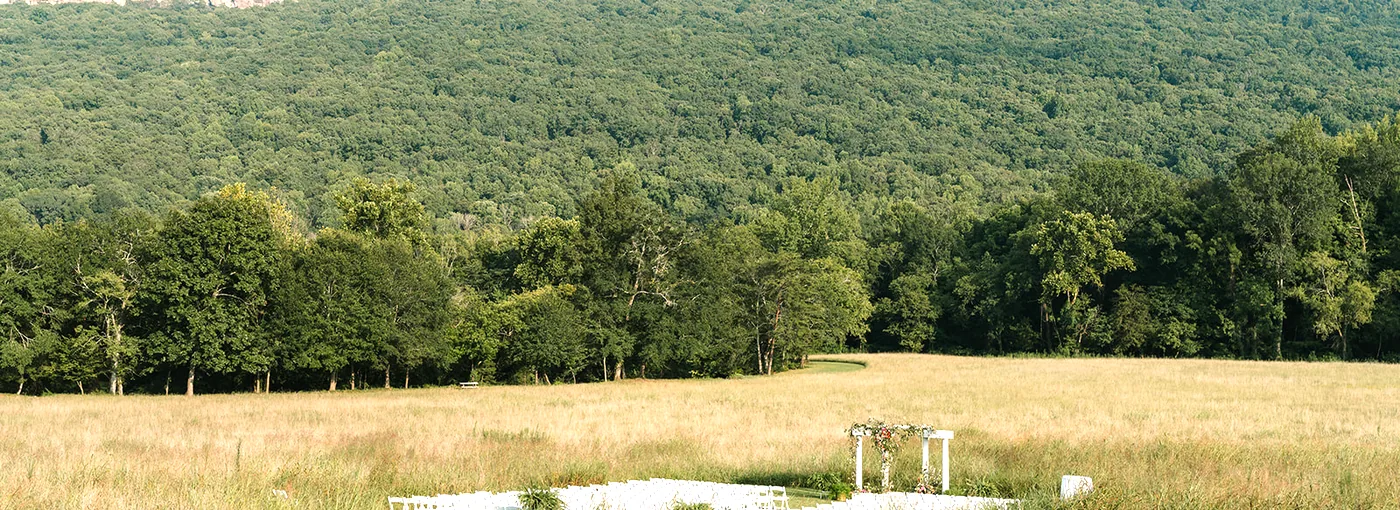 The meadow from above, the arch small in the middle of it